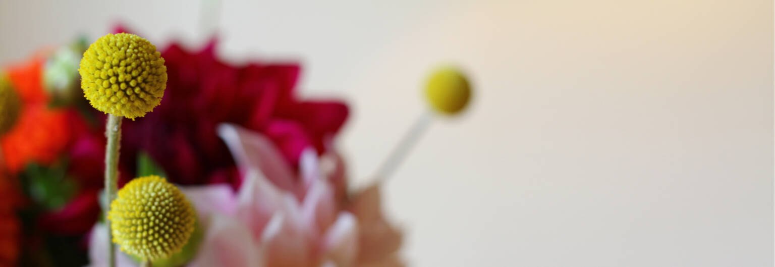 Blumen in der Praxis